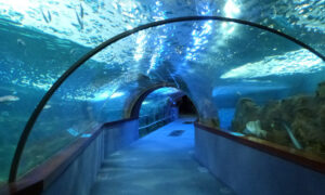 restaurante cerca del Aquarium de Donostia San Sebastián