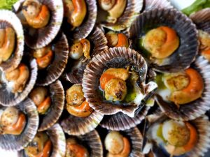 restaurante cerca del Aquarium de Donostia San Sebastián